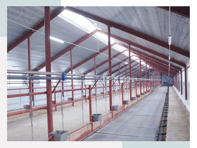 Строительство коровников в Златоусте от 619 руб.