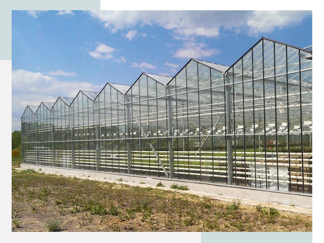 Строительство теплиц в Златоуст от 619 руб. за м²